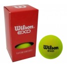 Wilson Platform Balls (2 Pack)