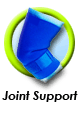 Joint Support